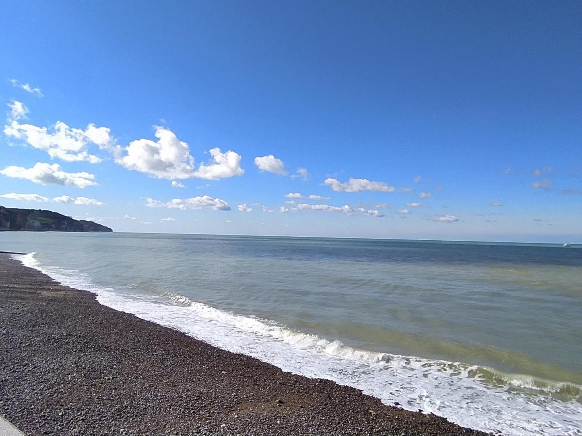Jolie Maison En Bord De Mer A Pourville Hautot-sur-Mer Zewnętrze zdjęcie